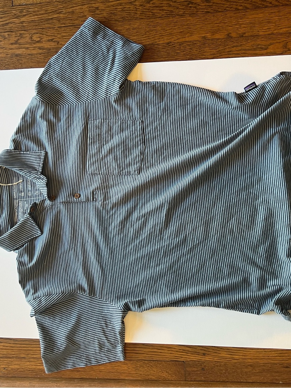 Patagonia Striped Polo